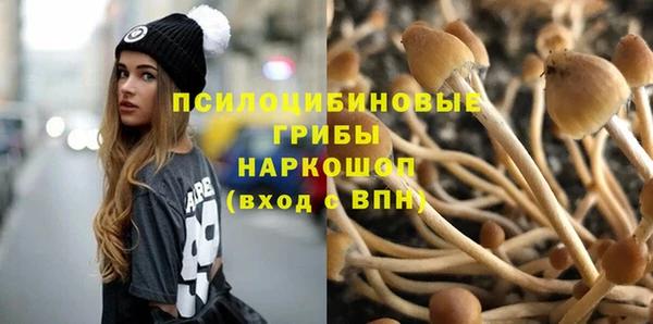 дурь Армянск